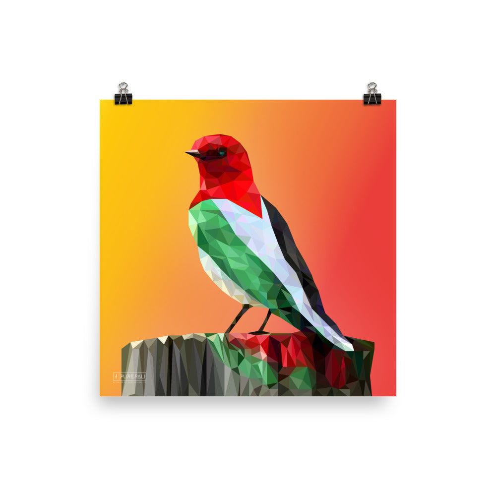 Bird of Palestine Poster - PurePali
